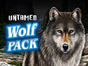 Untamed Wolf Pack