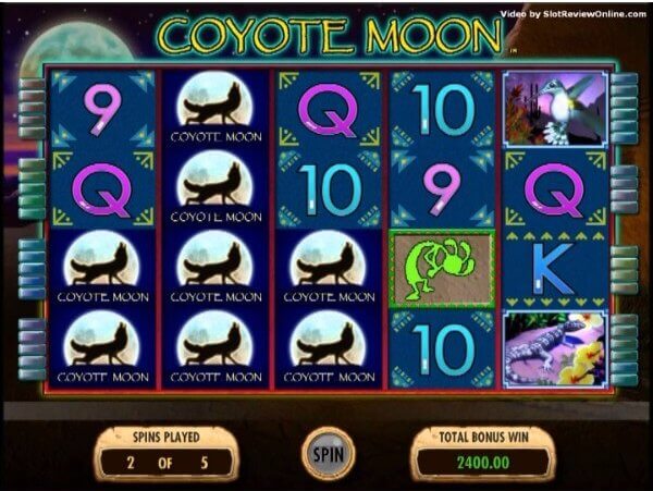 Coyote Moon