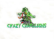 crazy chameleons