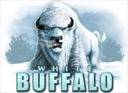 white buffalo